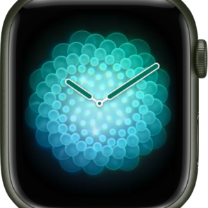 New built-in TWS multifunctional 2-in-1 smart earphone watch, supports wireless charging, 2.01-inch square display screen, zinc alloy case, with call/date/weather functions, electronic drive, replaceable silicone/stainless steel strap, suitable for